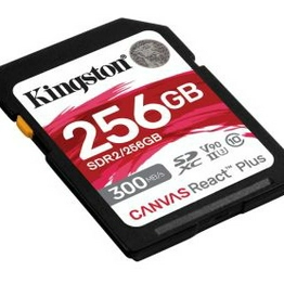 SDR2/256GB Kingston Technology