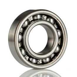 16100 SKF