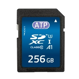 ATP Electronics AF256GSD4-BBAXM image