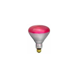 WW-217Q-4 International Lighting