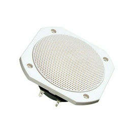 VISATON FRS 10 WP - 4 OHM (WHITE) image
