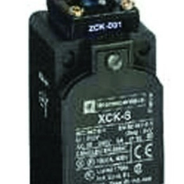 XCKS101H29 Telemecanique Sensors