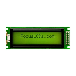 C162FLBSYLY6WT55PAB FOCUS LCDs