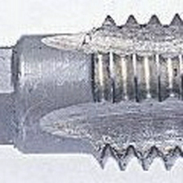 RS 828151 image