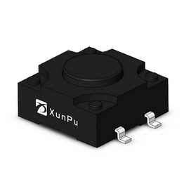 TS-1010DGS-BR06026 XUNPU
