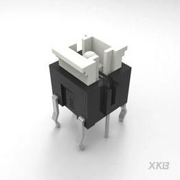 TM-004-D2-01 XKB Connectivity