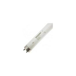 WX-EGYX-0 International Lighting