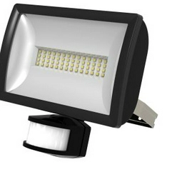 LEDX20PIRBN TIMEGUARD