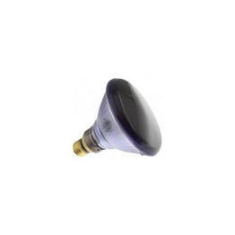 WX-EHGG-7 International Lighting