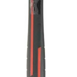 RS 1250937 image