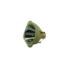 WW-SEG8-8 International Lighting