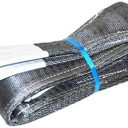 RS 1244883 image