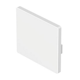 eao 45-523.1900 image