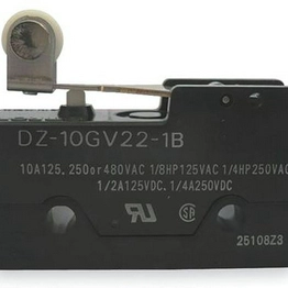 DZ-10GV22-1B OMRON