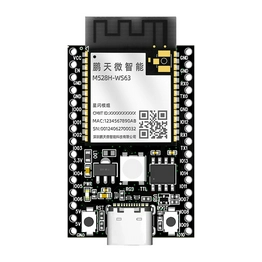 E528H-WS63 PTW