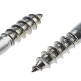 RS 4832918 image