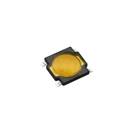 RKA2SGG055SMTR LFS C&K
