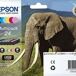 C13T24284010 EPSON