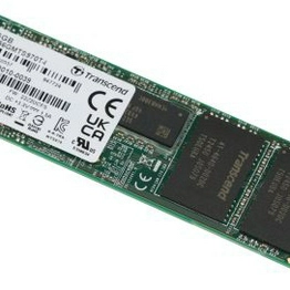 Transcend Information TS256GMTS970T-I image
