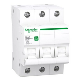R9F24313 Schneider Electric