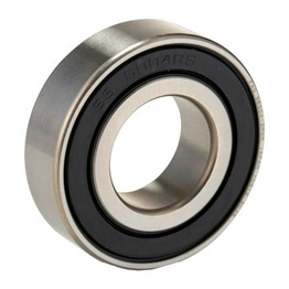 FAG S6004-2RSR-HLC image