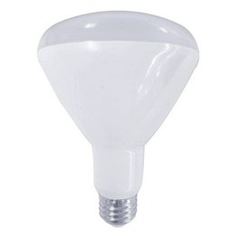 31293113368 International Lighting