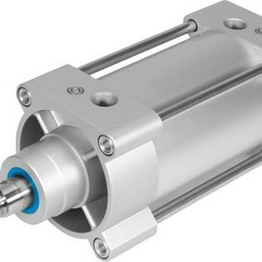 FESTO DSBG-100-250-PPVA-N3 image