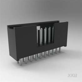 XKB Connectivity X2530WV-2x10-PTSN image