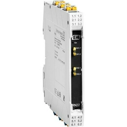 RN22-12A5/0 ENDRESS+HAUSER