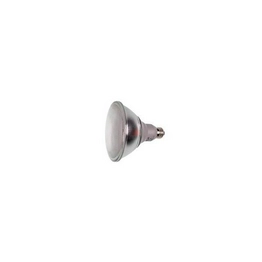 WW-6224-9 International Lighting