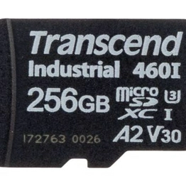 Transcend Information TS256GUSD460I image