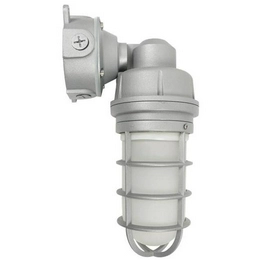 65-551 International Lighting