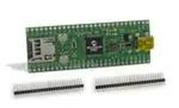 TCHIP010 Microchip Technology