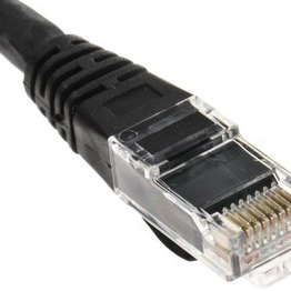 RS 557373 image