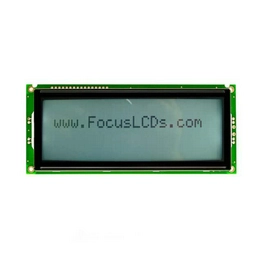 C204B-FTW-LW65 FOCUS LCDs