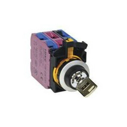 CW4K-31AE20 IDEC