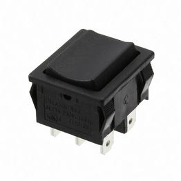 RA41631100 E-SWITCH