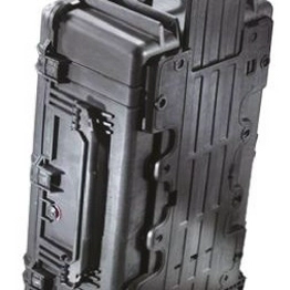 1650-020-110E PELI