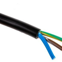 RS 491891 image