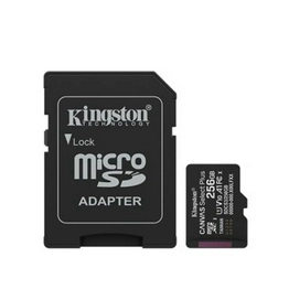 SDCS3/256GB Kingston Technology