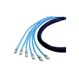 CAF1106007A06 BELDEN