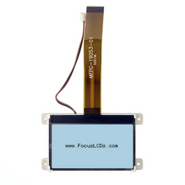 G12864A-FTW-LW63 FOCUS LCDs