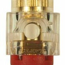 558862 RS