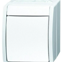 2601/7 W-54 Busch-Jaeger Elektro