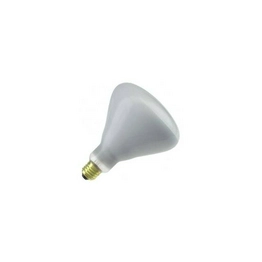 WX-EECG-0 International Lighting