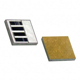 IGBRC5000CJJNCT5 Vishay Intertechnology