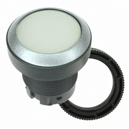 1.30.240.021/1000 RAFI