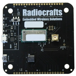 RC1880CEF-SPR-DB Radiocrafts