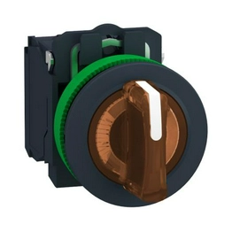 XB5FK135G5 Schneider Electric