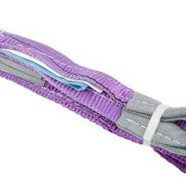 RS 7293010 image